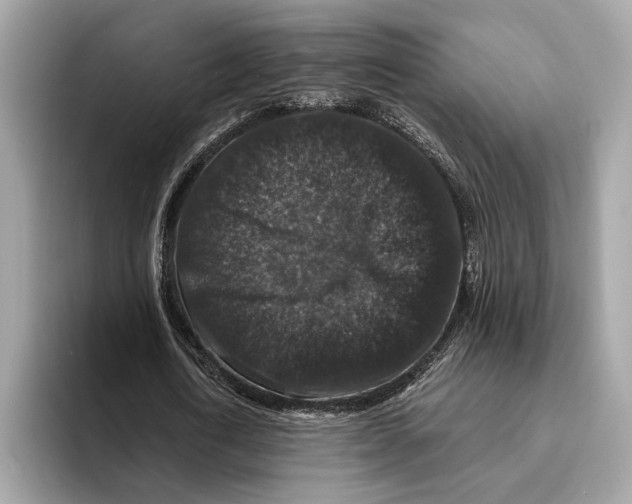 X0000095540722200801111432