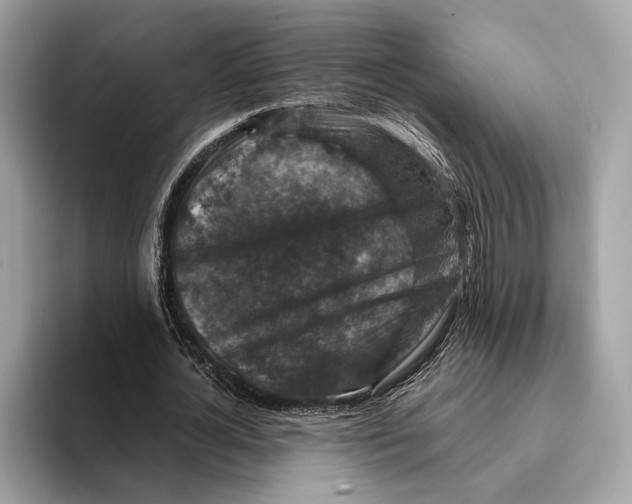 X0000095540724200801111432