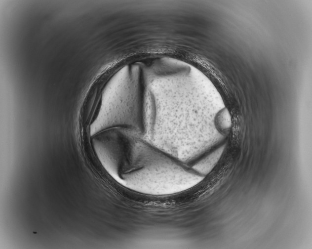 X0000095540727200801111432