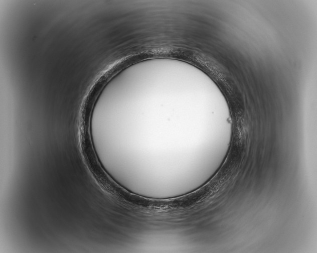 X0000095540728200801111432