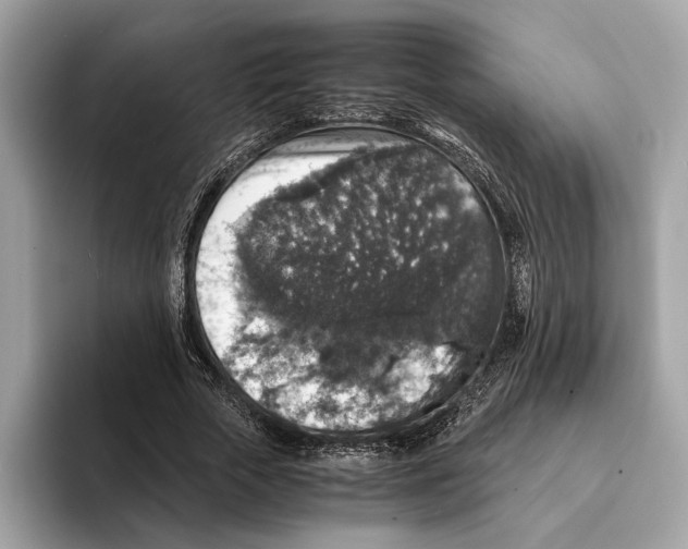 X0000095540729200801111432