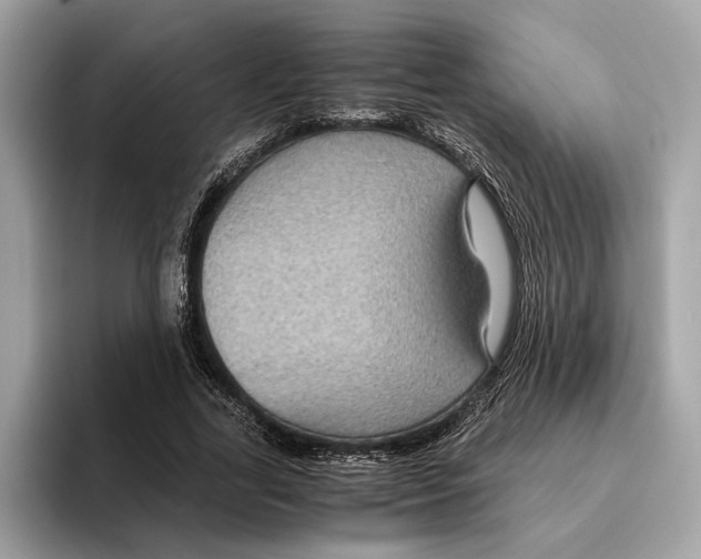 X0000095540731200801111433