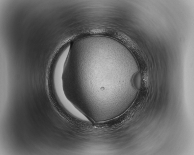 X0000095540732200801111433