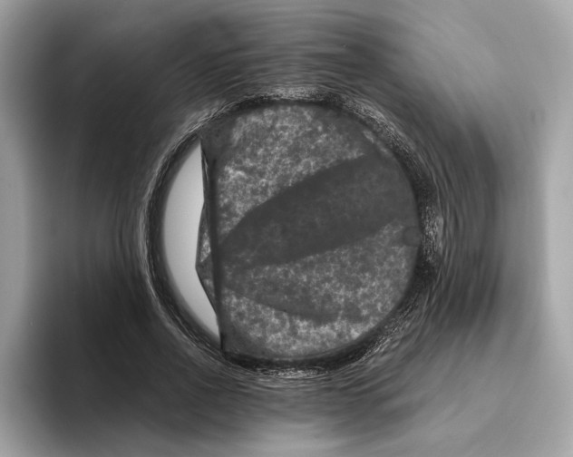 X0000095540734200801111433