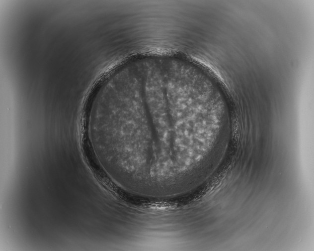 X0000095540736200801111433