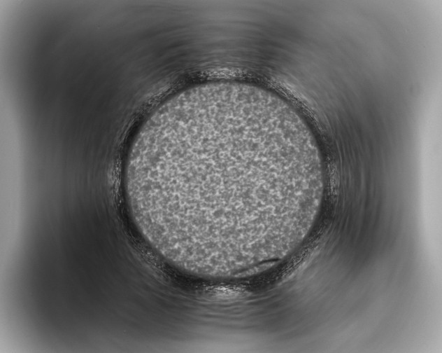 X0000095540737200801111433