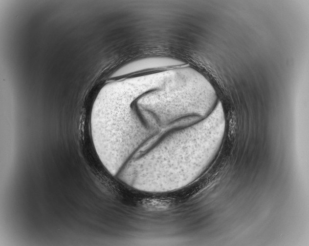 X0000095540739200801111433