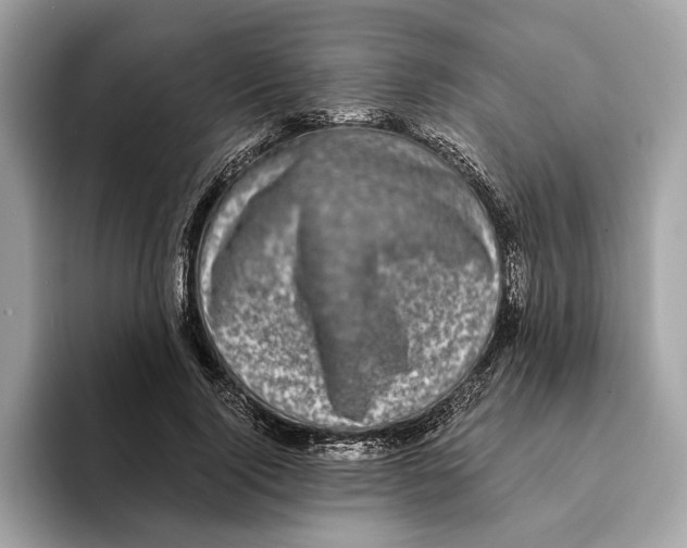 X0000095540740200801111433