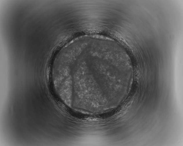 X0000095540742200801111433