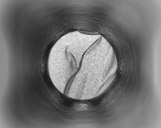 X0000095540743200801111433