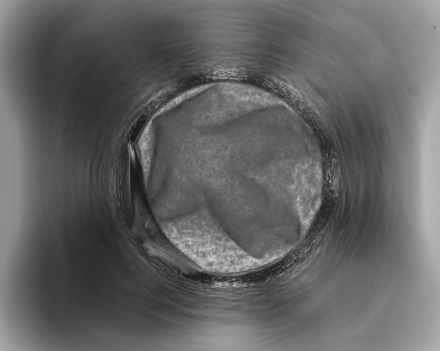 X0000095540744200801111433