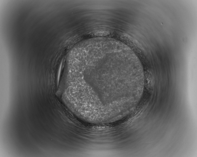 X0000095540745200801111433