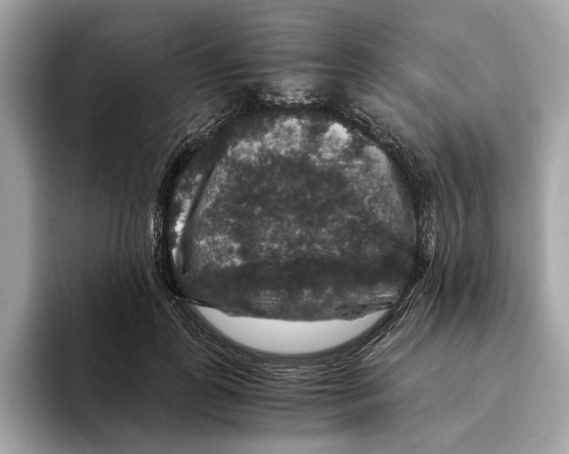 X0000095540747200801111433