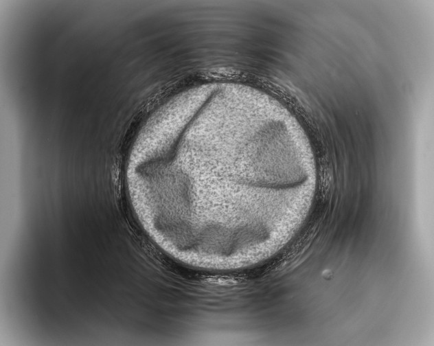 X0000095540749200801111433