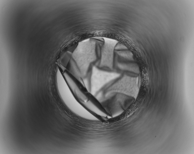 X0000095540750200801111433