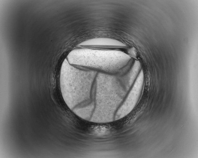 X0000095540751200801111433