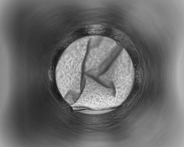 X0000095540755200801111433