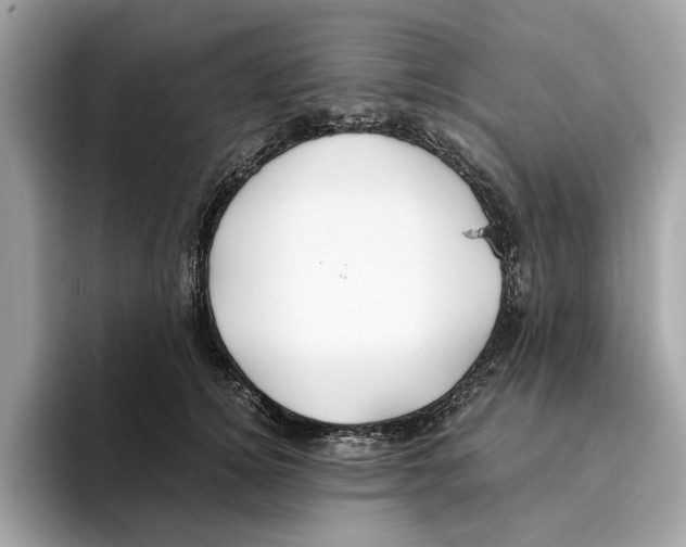 X0000095540756200801111433