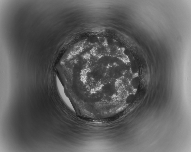 X0000095540758200801111433