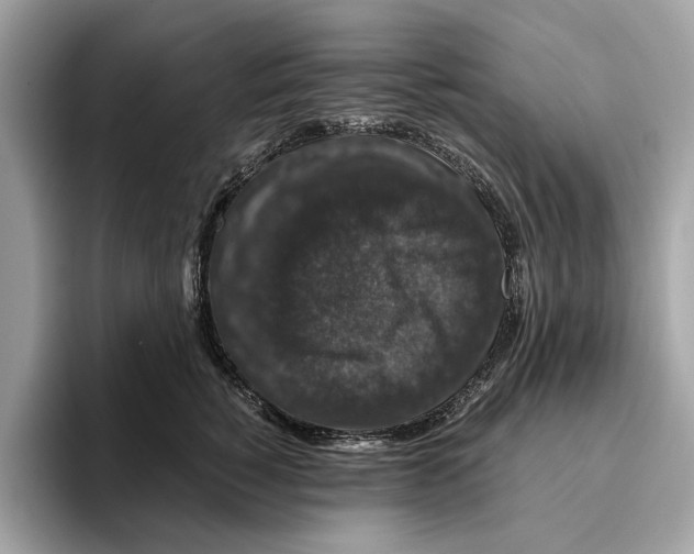 X0000095540760200801111433