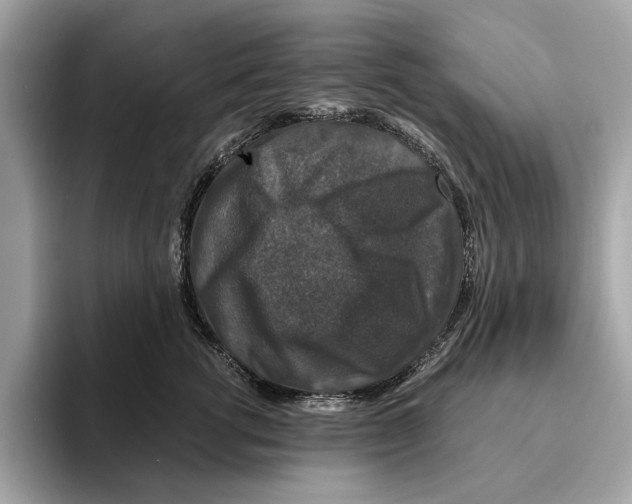 X0000095540762200801111433