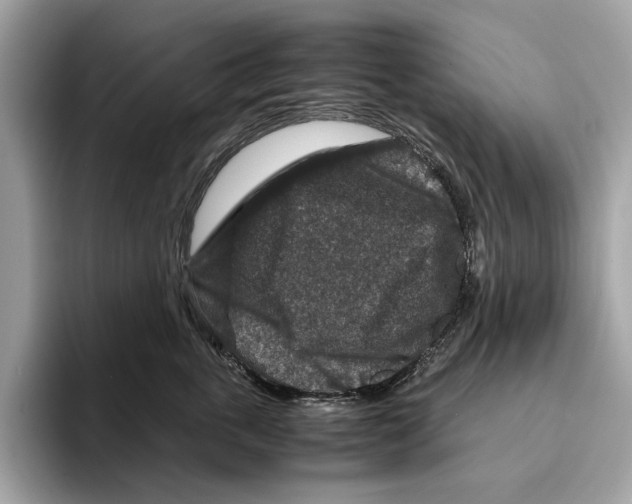 X0000095540763200801111433