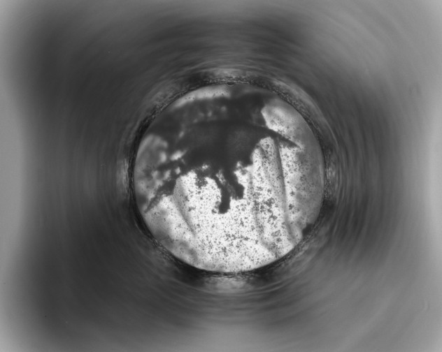 X0000095540765200801111433