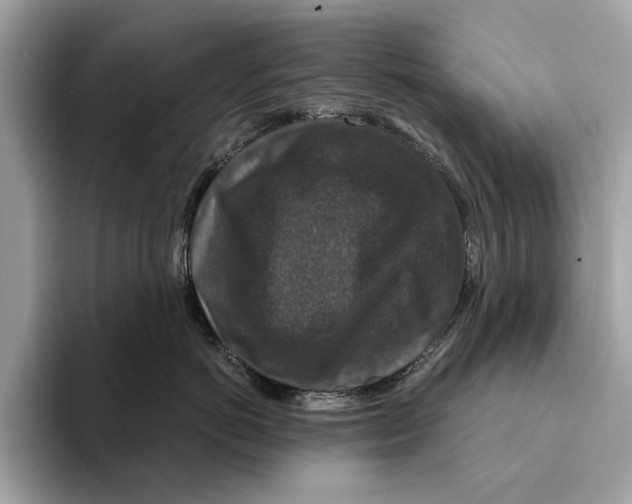 X0000095540766200801111433