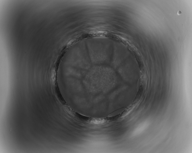 X0000095540767200801111433