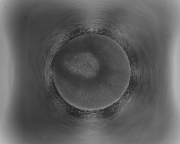 X0000095540769200801111432