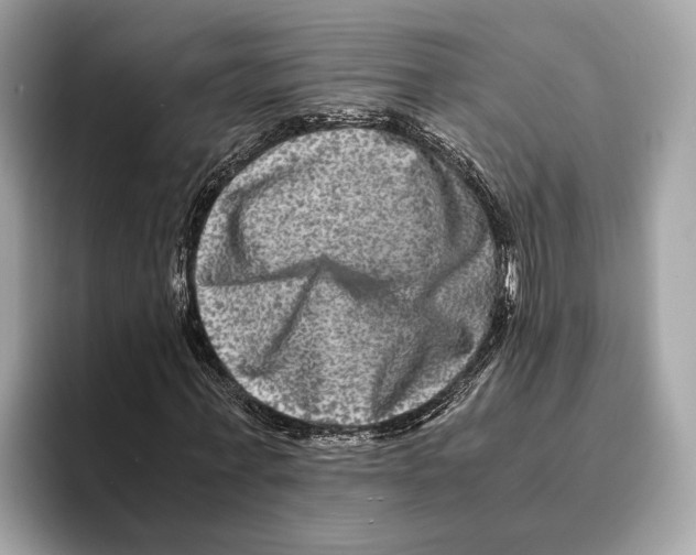 X0000095540771200801111432