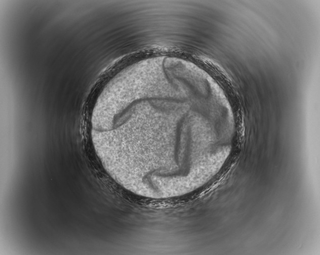 X0000095540776200801111432