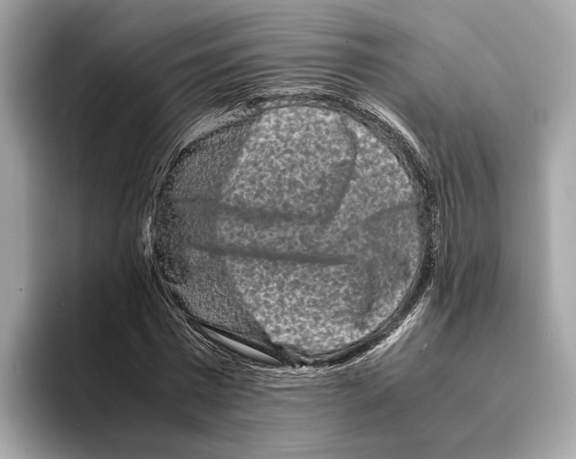 X0000095540777200801111432