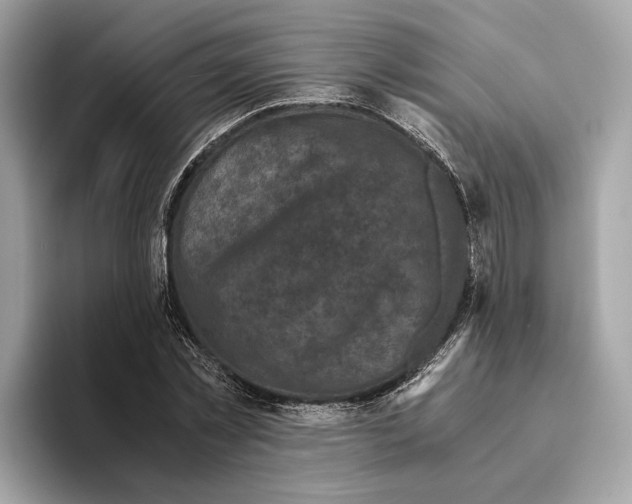 X0000095540781200801111432