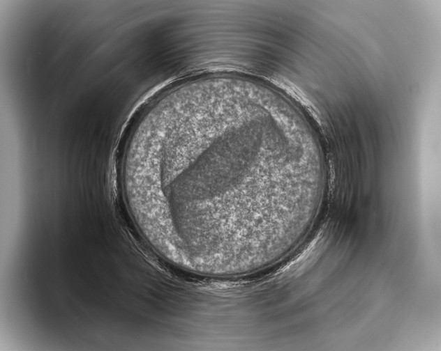 X0000095540782200801111432