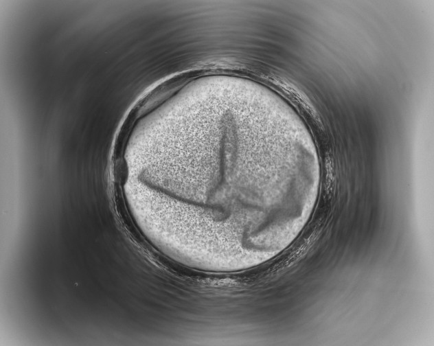 X0000095540784200801111432