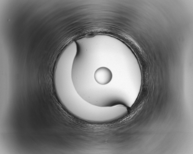 X0000095540785200801111432