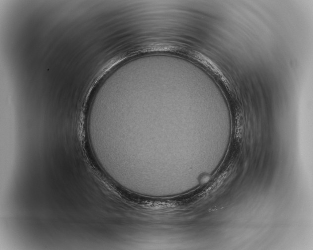 X0000095540786200801111432