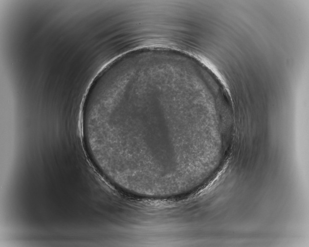 X0000095540791200801111432