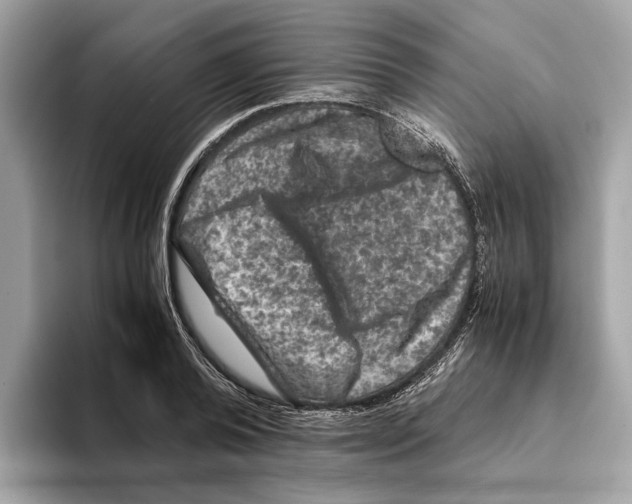 X0000095540792200801111432