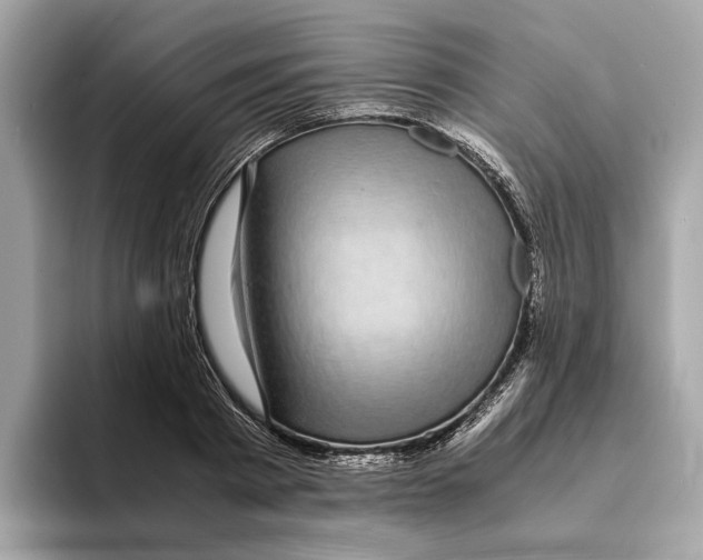 X0000095540793200801111432