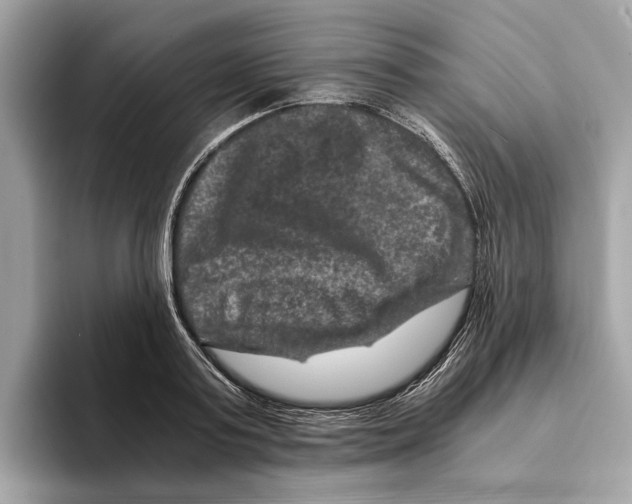 X0000095540795200801111432