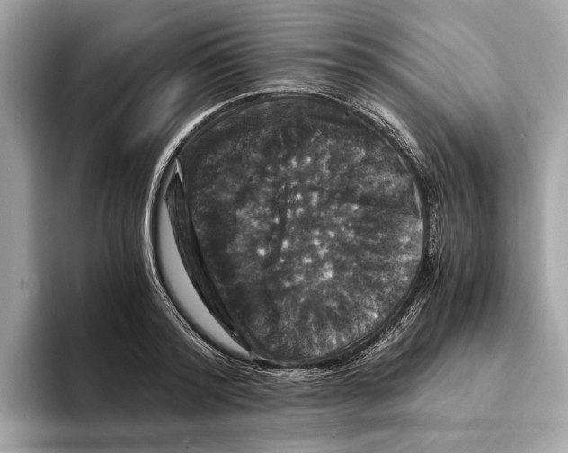 X0000095540796200801111432