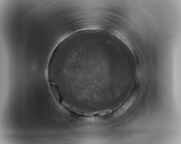 X0000095540797200801111432