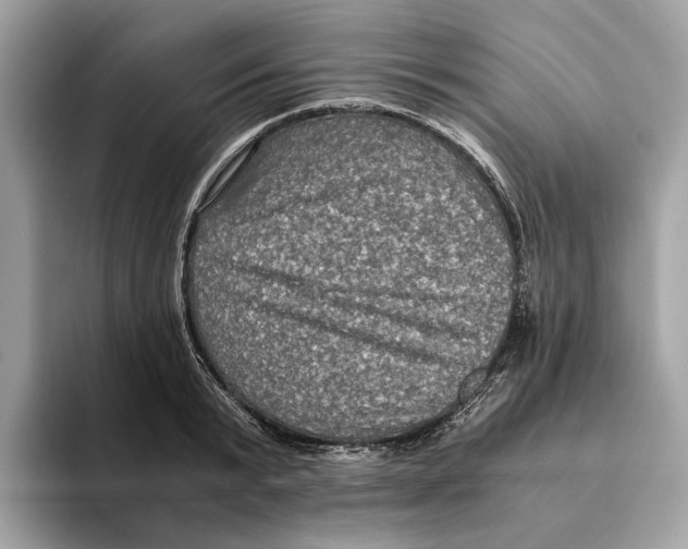 X0000095540799200801111432