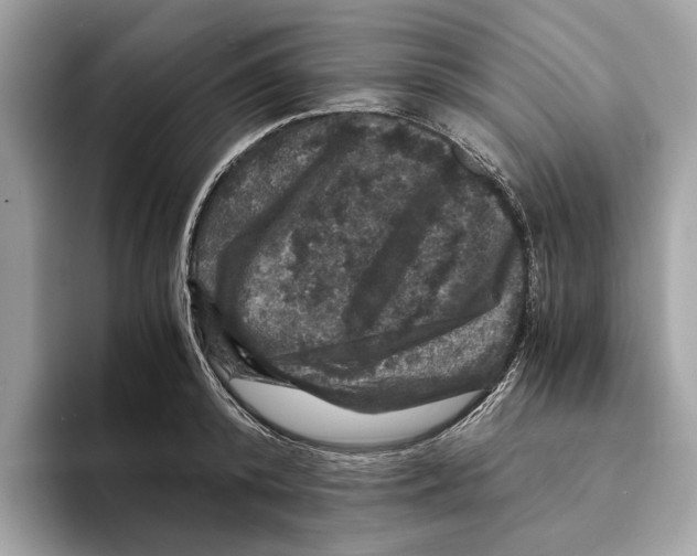 X0000095540800200801111432