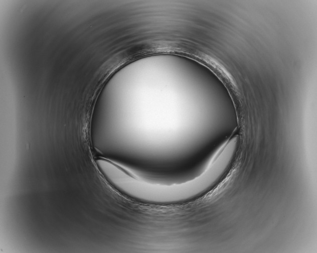 X0000095540801200801111432