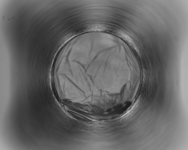 X0000095540802200801111432