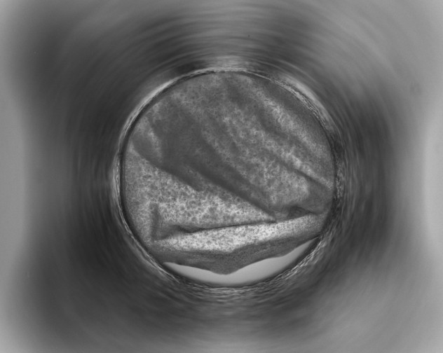 X0000095540804200801111432