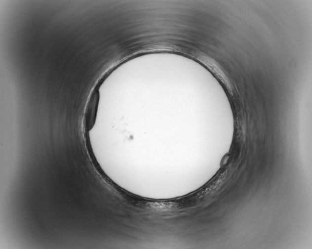 X0000095540805200801111432